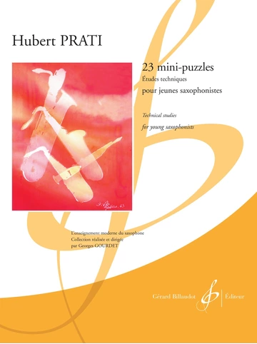 23 Mini-puzzles Visual